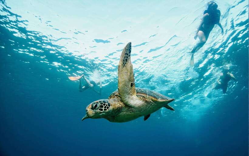 From Bali: Nusa Penida Private Snorkeling Tour with Lunch - GoPro underwater photos and videos: why this small detail matters