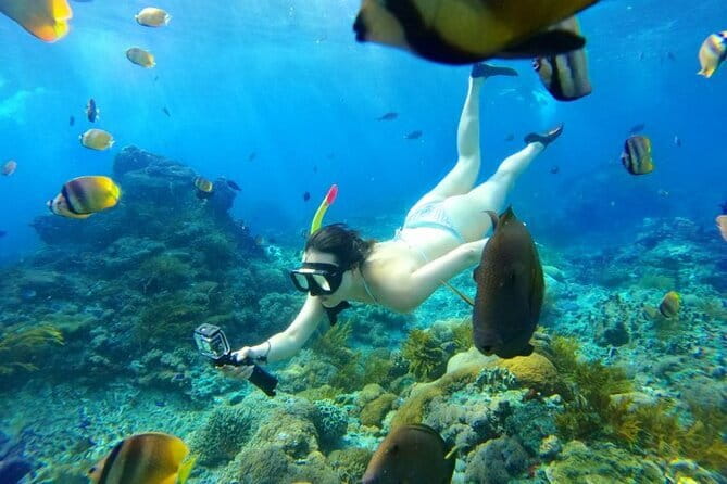 From Bali: Nusa Penida Snorkeling and Island Tour - Why this half-day Nusa Penida plan actually makes sense