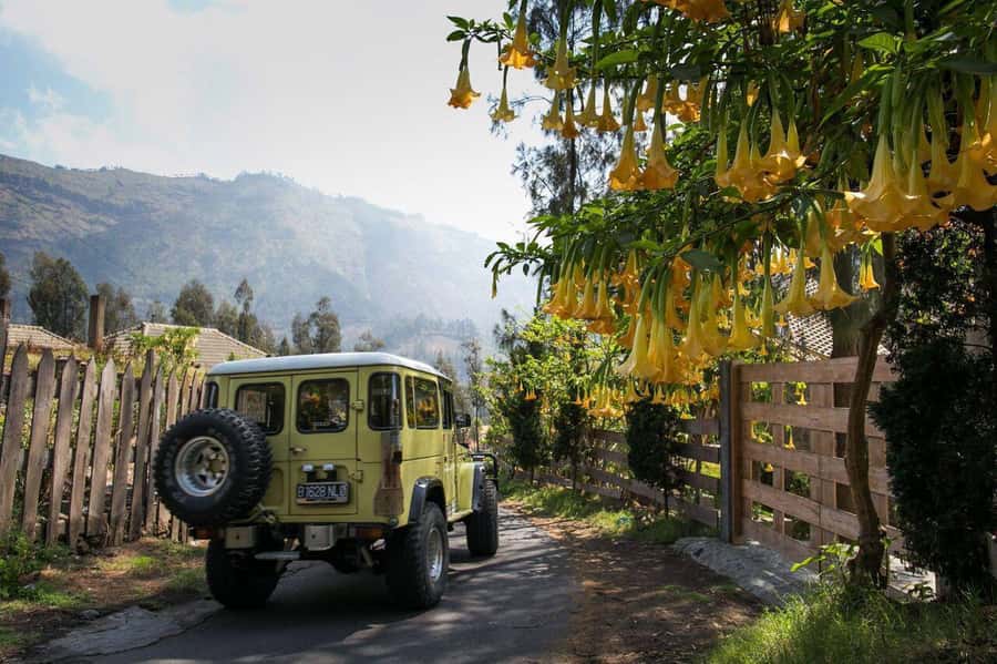 From Bali or Java: Bromo & Kawah Ijen - 3-Day Adventure - Two volcanoes, two totally different kinds of awe