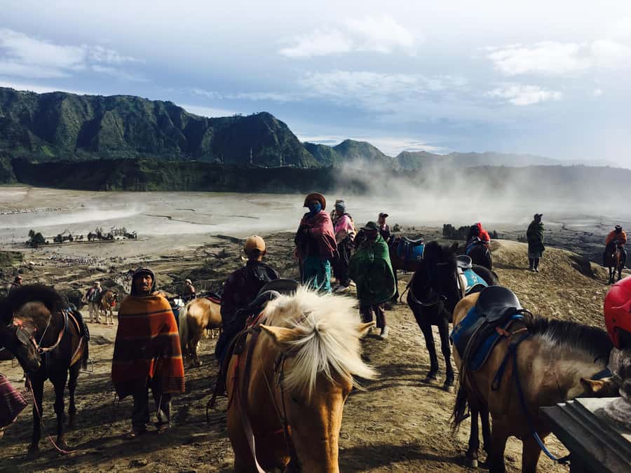 From Bali or Java: Bromo & Kawah Ijen - 3-Day Adventure - Day 2: Crossing from Bromo to Ijen, plus a night near the action