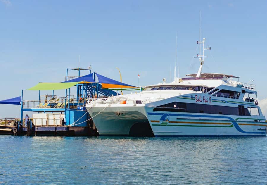 From Bali: Reef Cruise Day Trip to Nusa Lembongan - Bali to Nusa Lembongan Reef Cruise: Timing, Pickup, and Where You Go First