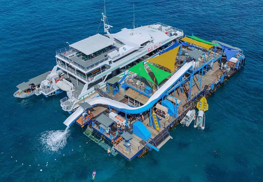 From Bali: Reef Cruise Day Trip to Nusa Lembongan - What to Bring, What Not to Do, and How to Stay Comfortable