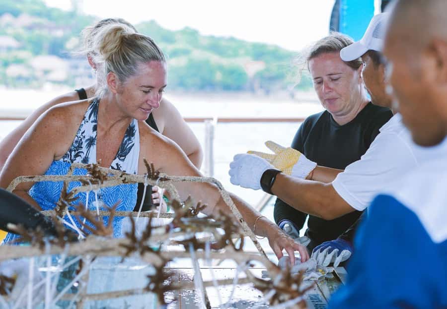 From Bali: Reef Cruise Day Trip to Nusa Lembongan - Benoa to Lembongan by Catamaran: What the Boat Day Feels Like