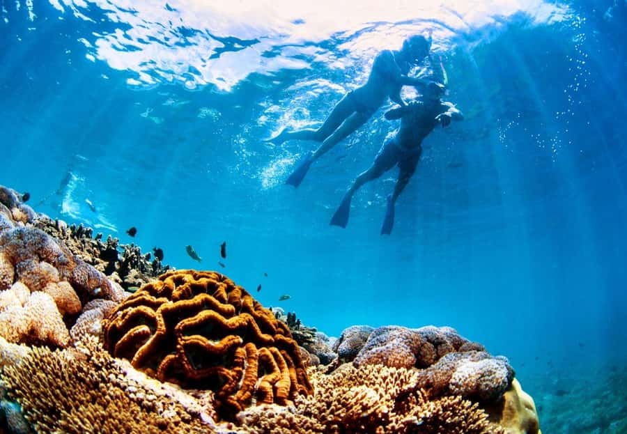 From Bali: Reef Cruise Day Trip to Nusa Lembongan - Snorkeling in Lembongan Bay: Equipment, Instruction, and Who It’s For