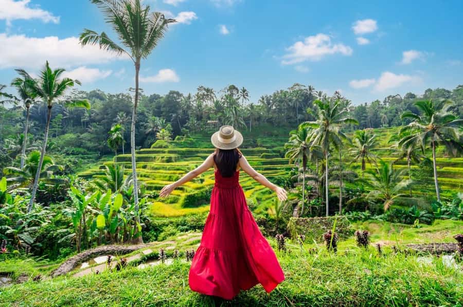 From Bali: Saraswati Temple, Monkey Forest, Ubud Waterfalls - Why Tegenungan, Tegalalang, and Saraswati feel like a smart combo