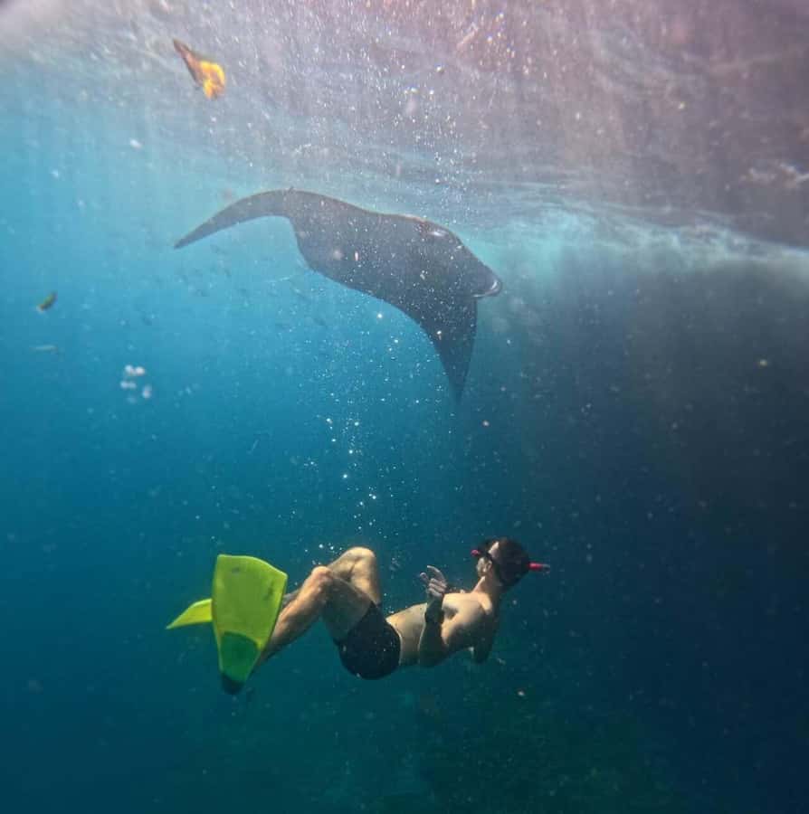 From Bali: Snorkeling 3 Spots with GoPro & West Penida Tour - Key points before you go