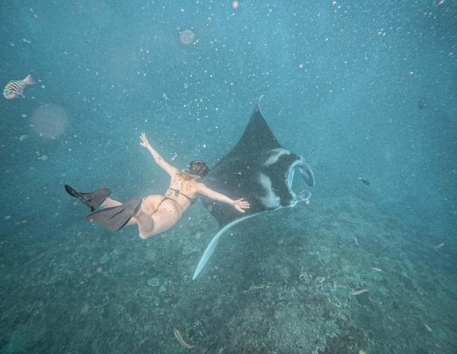 From Bali: Snorkeling 3 Spots with GoPro & West Penida Tour - Speedboat snorkeling at 3 bays: Manta Bay, Crystal Bay, Gamat Bay