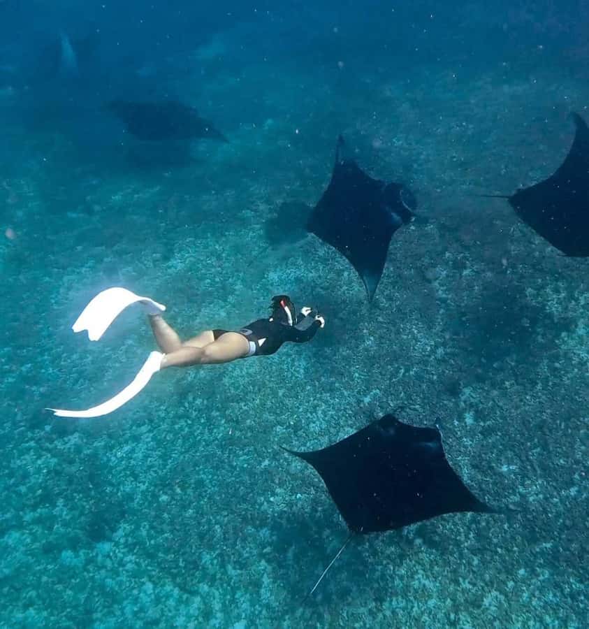 From Bali: Snorkeling at Manta Point Nusa Penida & Land Tour - Manta Point snorkeling: how the mantas and the crowd fit together
