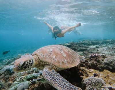 Snorkeling at Manta Point Nusa Penida & Land Tour