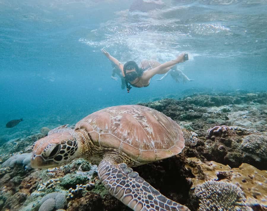 From Bali: Snorkeling at Manta Point Nusa Penida & Land Tour - Speedboat transfer and port logistics, what to actually do