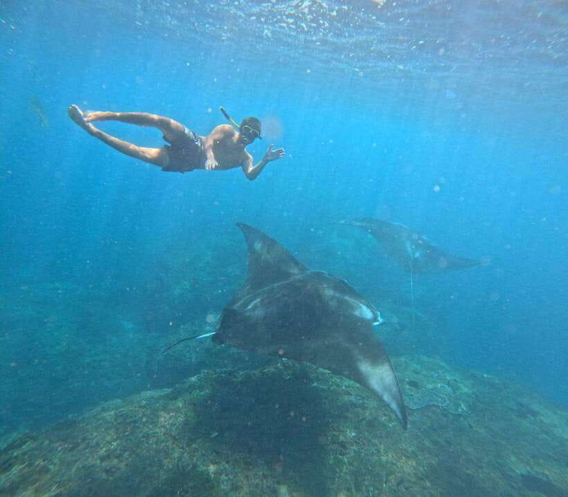 From Bali : Snorkeling & Nusa Penida Island Tour with Lunch - Key things I’d plan for