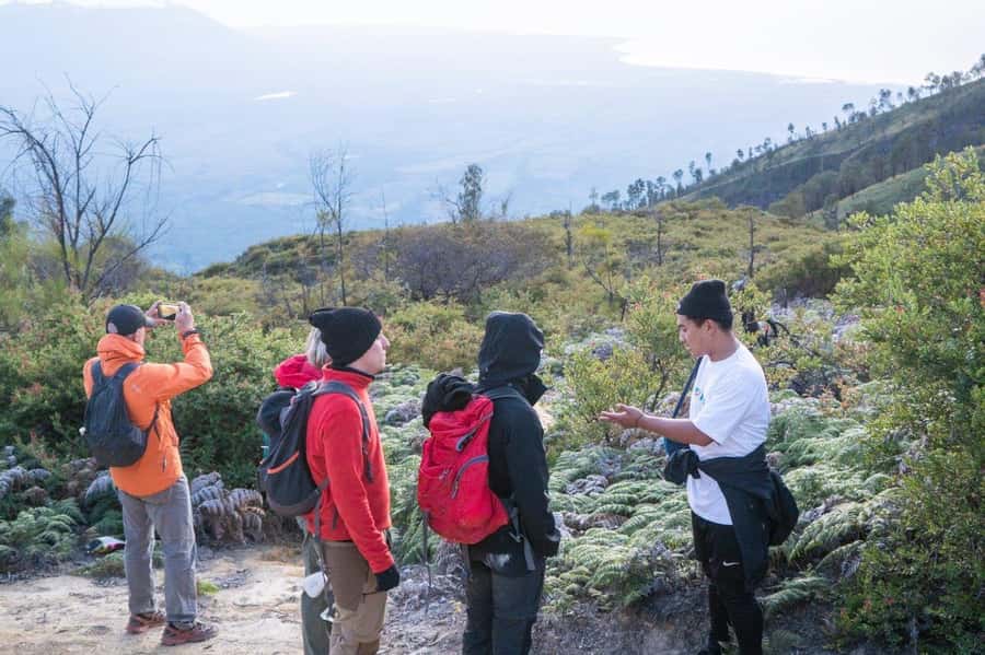 From Banyuwangi: Day Trip to Ijen Volcano with Guided Trek - Why Ijen Crater feels like a different kind of hike