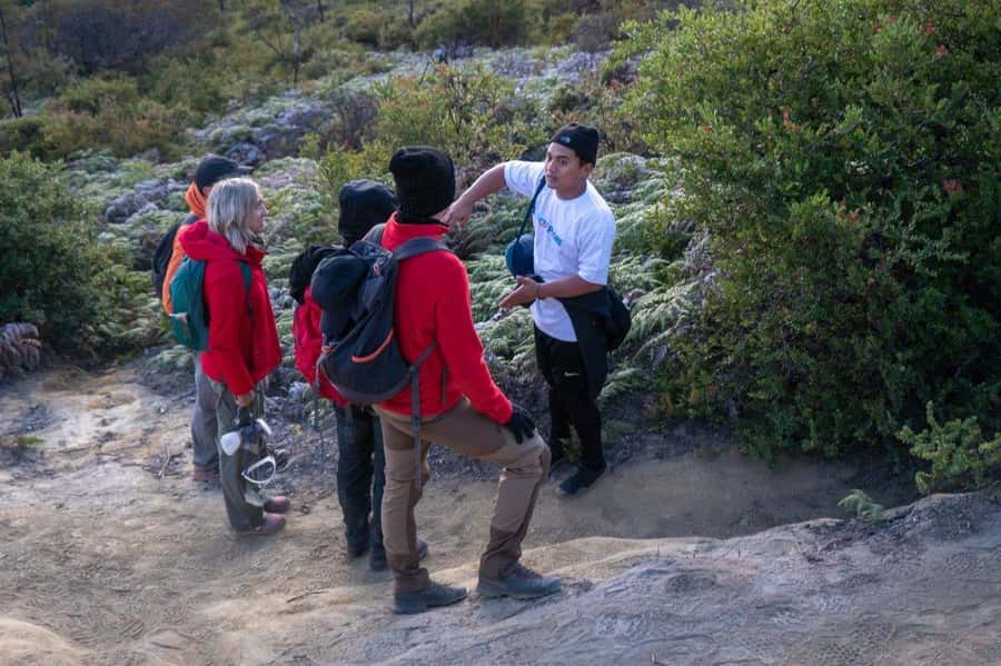 From Banyuwangi: Day Trip to Ijen Volcano with Guided Trek - Reaching the crater rim: acid lake views and sulfur safety