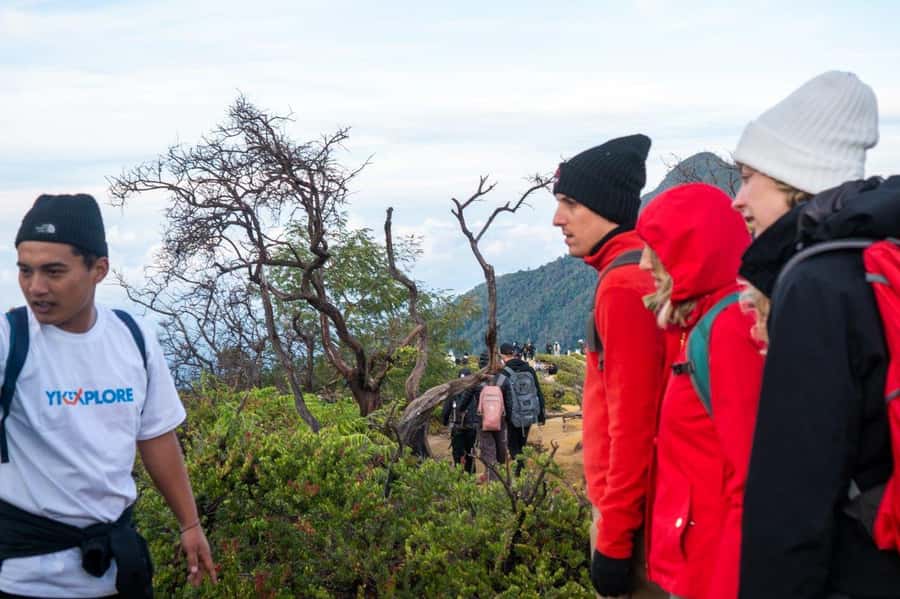 From Banyuwangi: Day Trip to Ijen Volcano with Guided Trek - Pacing, photo help, and guide personality (Fendi, for example)