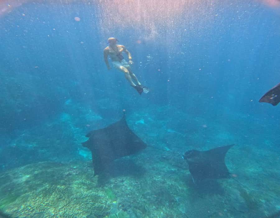 From Ceningan: Snorkeling with Manta Rays at Manta Point - Ceningan to Manta Point, what makes this snorkeling special