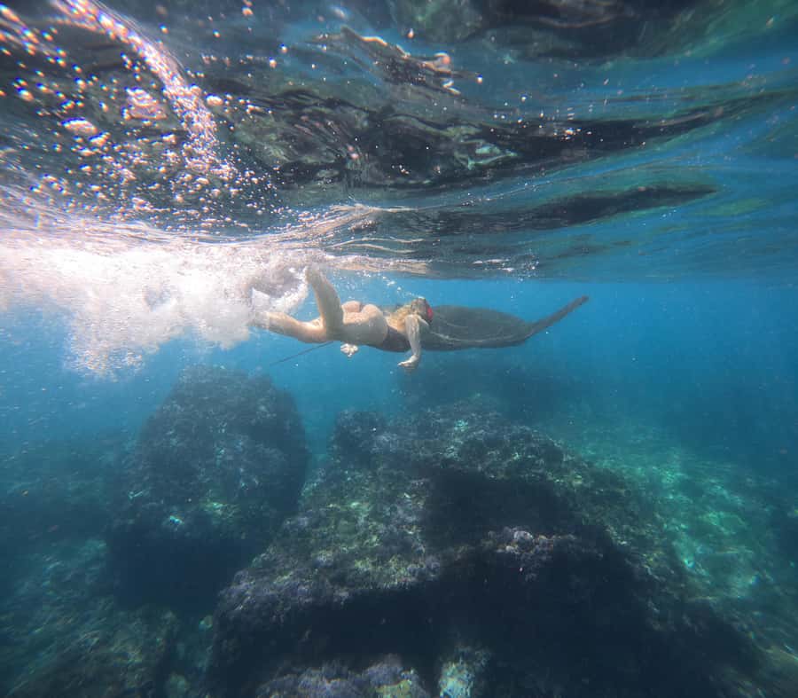 From Ceningan: Snorkeling with Manta Rays at Manta Point - Stop 2, Gamat Bay for 75 minutes: reef time after the main show