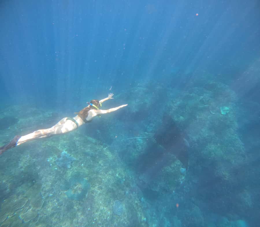 From Ceningan: Snorkeling with Manta Rays at Manta Point - What to bring for a smoother day on the water