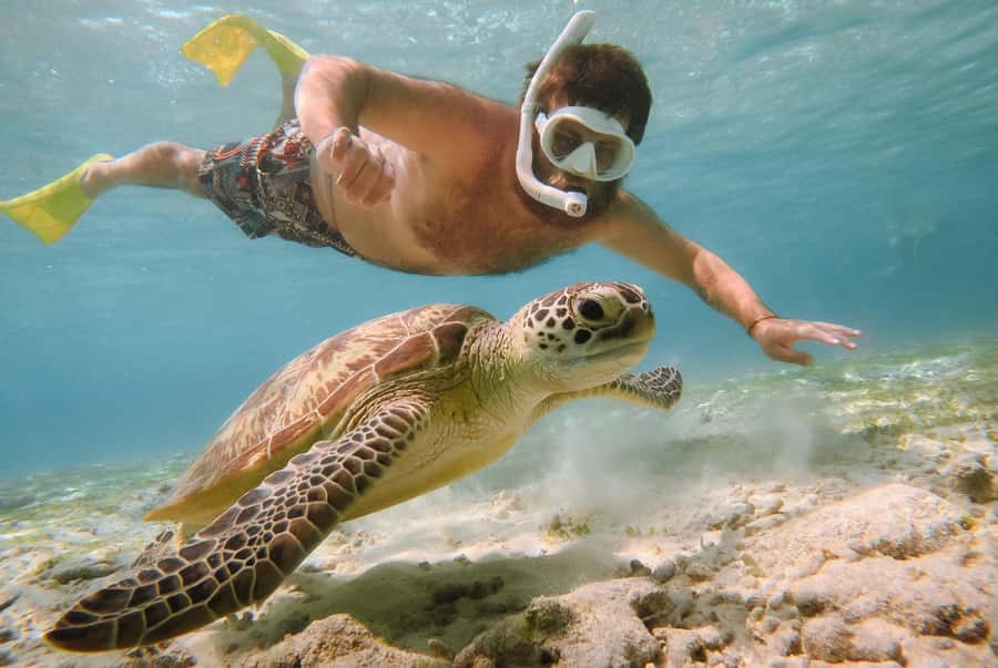 From Gili Air: Snorkeling with Turtles & Underwater Statue - From Oseana Adventure Blissful Paradise to the glass-bottom boat