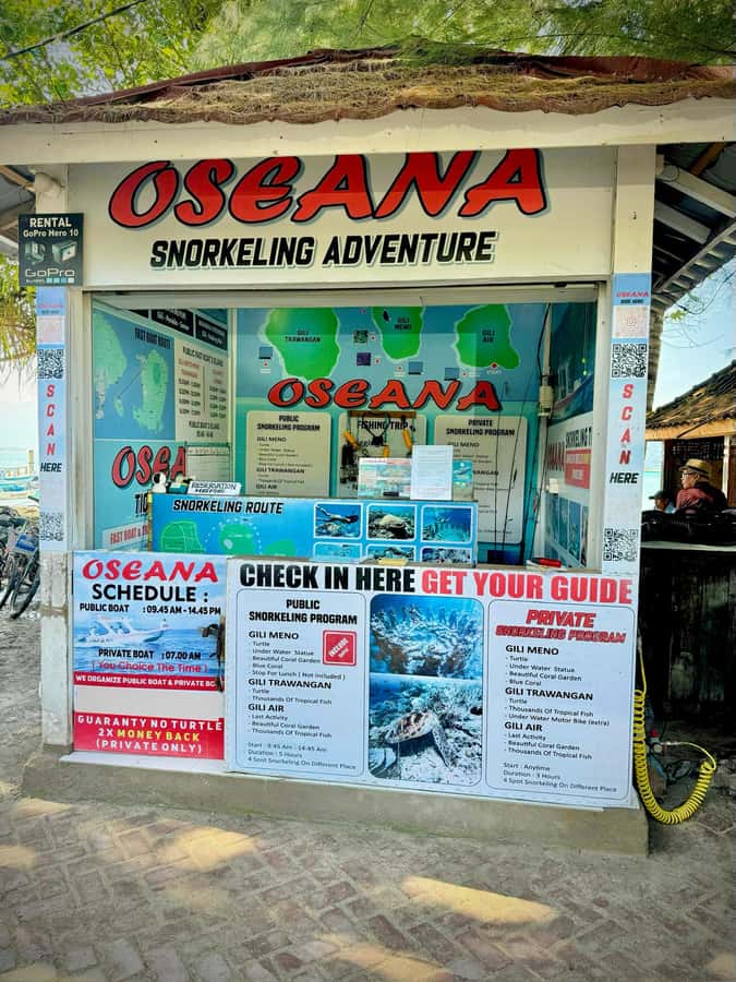 From Gili Air: Snorkeling with Turtles & Underwater Statue - Who this tour suits best (and who should skip it)