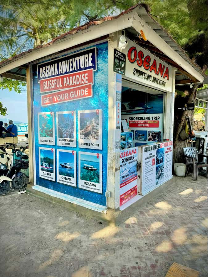 From Gili Air: Snorkeling with Turtles & Underwater Statue - Should you book this turtle and statue snorkeling with Gili Air?