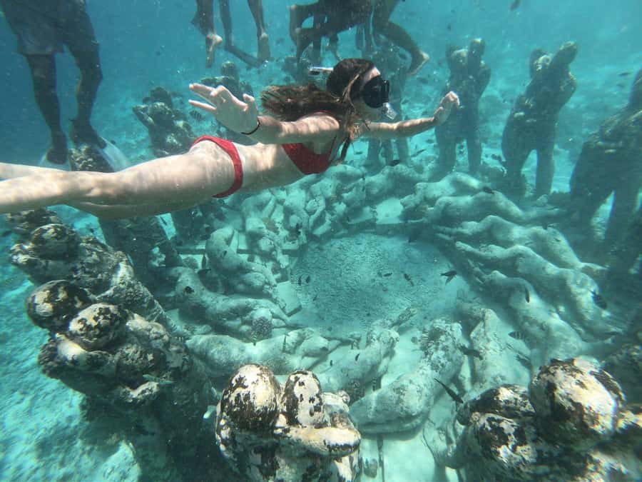 From Gili Air/Trawangan: Glass-Bottom Boat with Snorkeling - Key highlights to know before you go