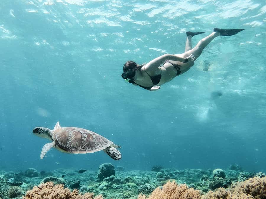 From Gili Meno: Private Snorkeling with Turtle & Statue - Key highlights at a glance