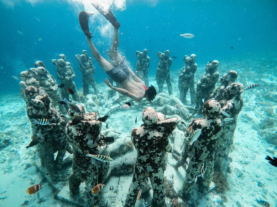 From Gili Meno: Private Snorkeling with Turtle & Statue - Why this Gili Meno turtle and statue snorkel feels different