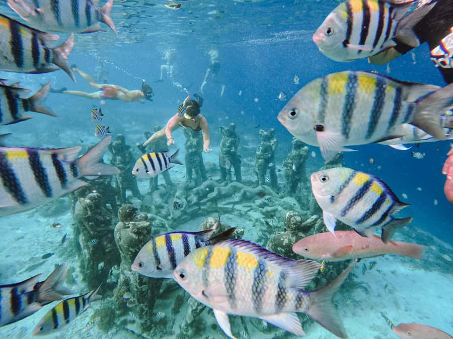 From Gili Meno: Private Snorkeling with Turtle & Statue - Three snorkeling stops: turtles, coral, and the underwater statue landmark