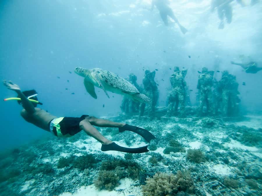 From Gili Meno: Private Snorkeling with Turtle & Statue - How the GoPro photos and videos work (and how to get the best results)