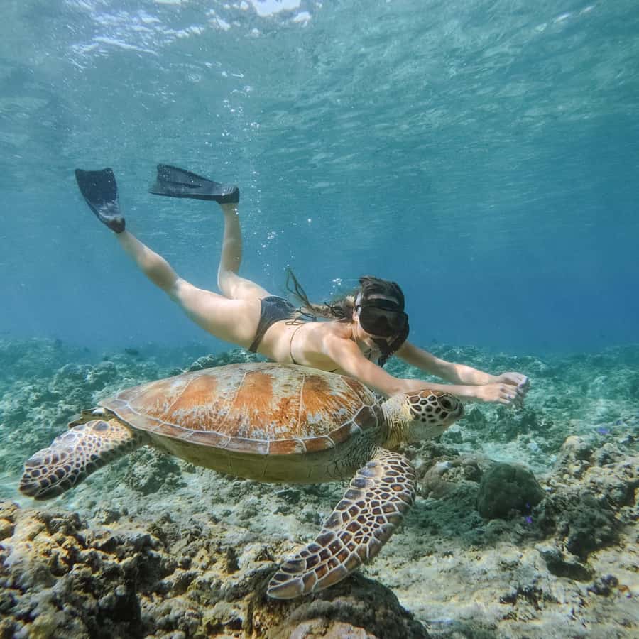 From Gili Meno: Private Snorkeling with Turtle & Statue - From Diana Cafe to a glass-bottom boat (the part that sets you up)