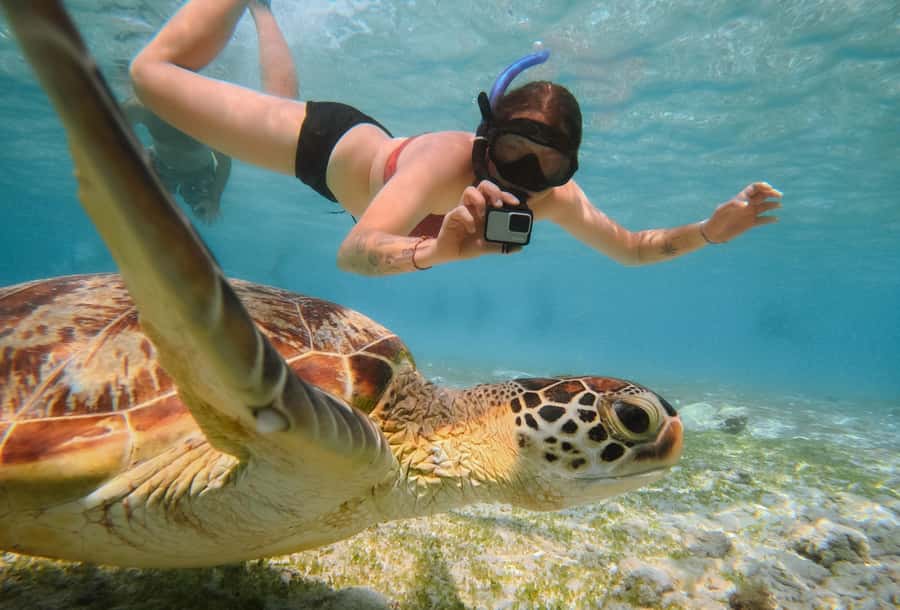 From Gili Trawangan: Gili Islands Snorkeling Boat Tour - From Sama-Sama Reggae Bar to the Glass-Bottom Boat