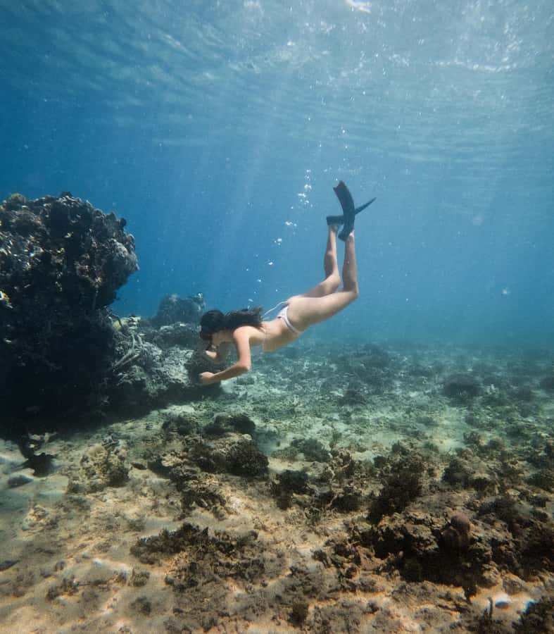 From Gili Trawangan: Gili Islands Snorkeling Boat Tour - Should You Book This Gili Trawangan Snorkeling Tour?