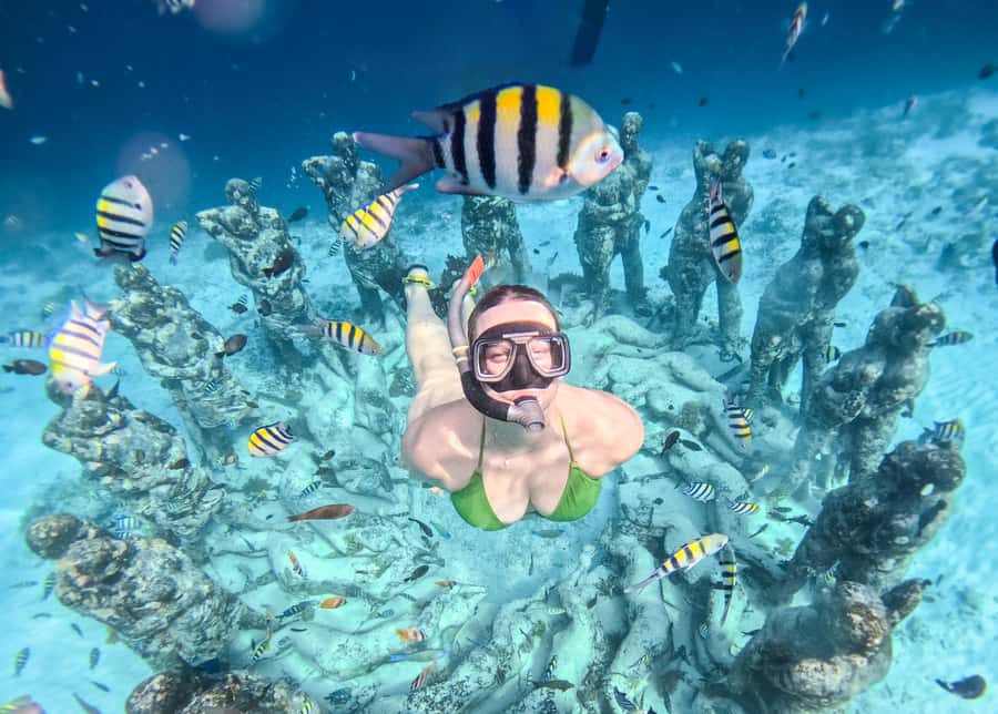 From Gili Trawangan: Gili Islands Snorkeling Boat Tour - Snorkel Stop 3 and the Quality of the Reef Time