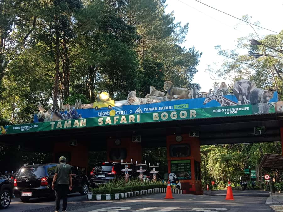 From Jakarta: Private Taman Safari Day Tour - Who this tour is best for, and who might prefer something else