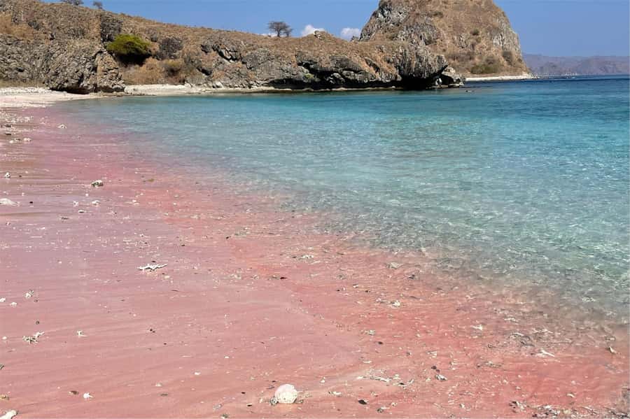 From Labuan Bajo: Komodo Dragons and Island Hop with All Fee - A Speedboat Day That Packs Komodo, Padar, and Snorkel Time