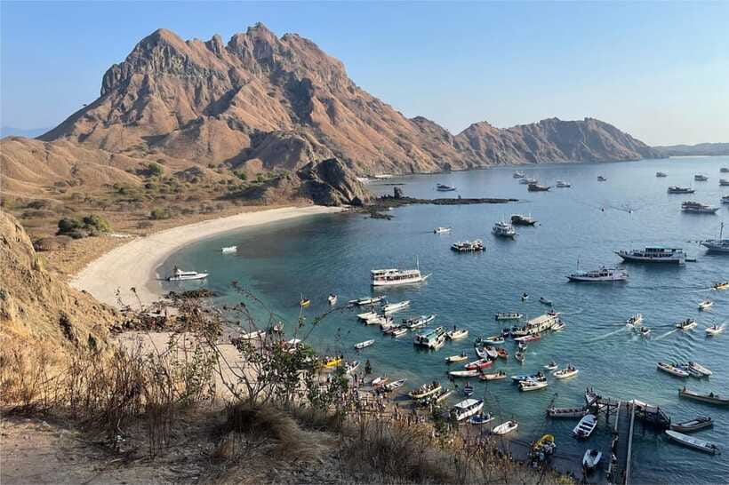 From Labuan Bajo: Komodo Dragons and Island Hop with All Fee - Komodo Island Dragon Viewing: What the Walk Really Means