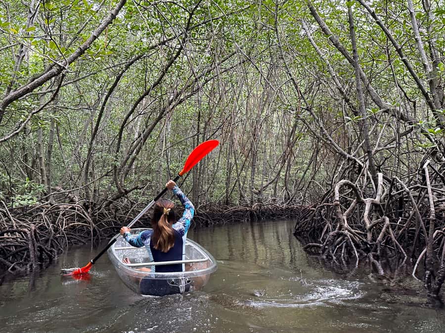 From Lembongan: Kayak/Paddleboard/Boat Mangrove Tour - Pickup in Nusa Lembongan, and why the main street rule matters