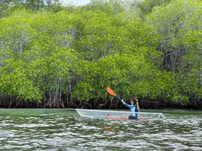 From Lembongan: Kayak/Paddleboard/Boat Mangrove Tour