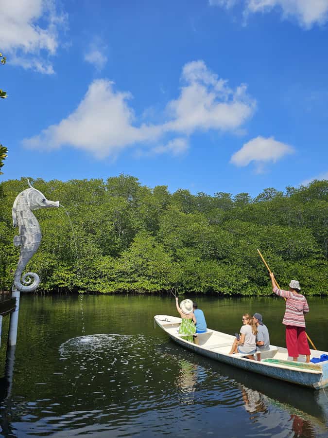 From Lembongan: Kayak/Paddleboard/Boat Mangrove Tour - What happens during the hour at Mangrove Point