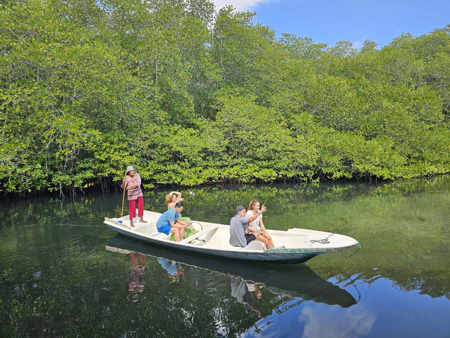 From Lembongan: Kayak/Paddleboard/Boat Mangrove Tour - Transparent boats and kayaks: when the underwater view is actually worth it
