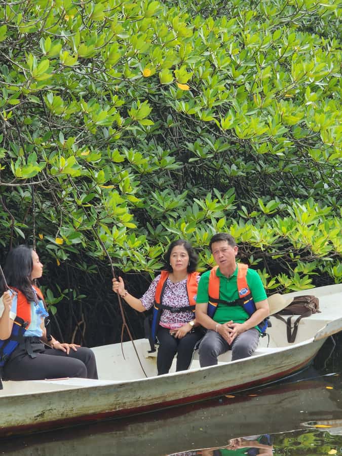 From Lembongan: Kayak/Paddleboard/Boat Mangrove Tour - Tide, water levels, and the “route may shift” reality