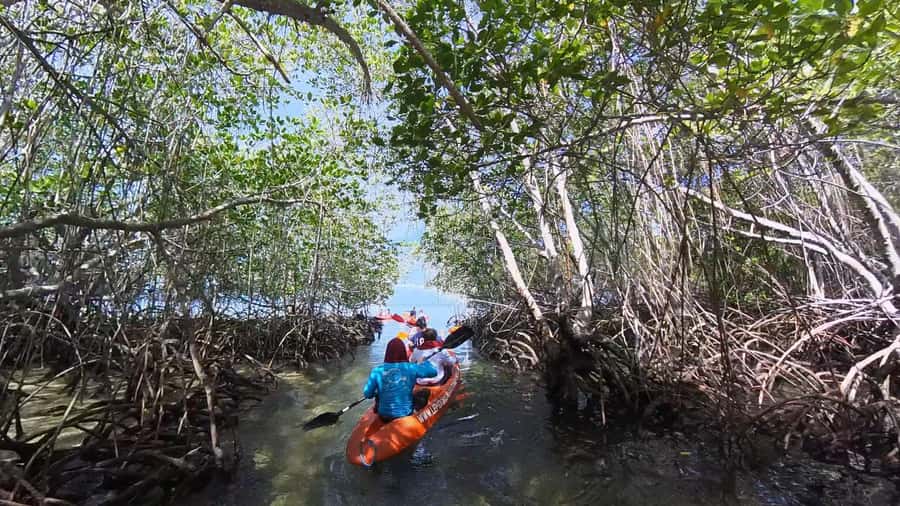 From Lembongan: Kayak/Paddleboard/Boat Mangrove Tour - What to bring for comfort in Bali heat