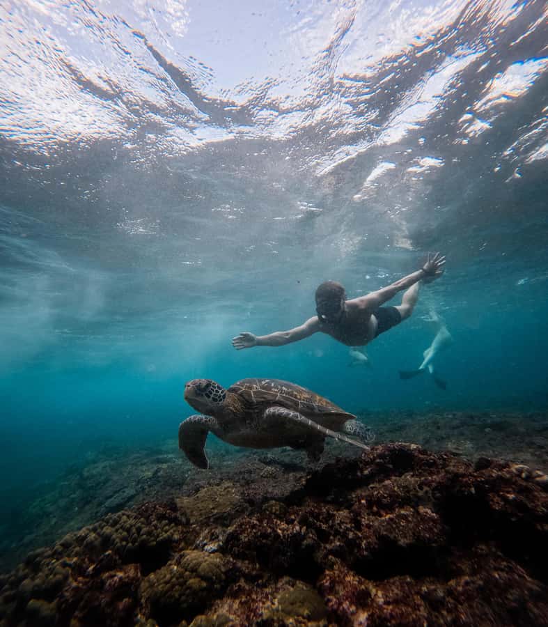 From Lembongan: Manta Point Snorkeling & West Penida Tour - Kelingking Cliff, Pasih Uug, and Angel’s Billabong: the big photo loop