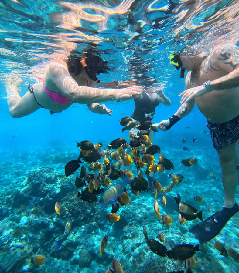 From Lembongan: Nusa Penida Private Snorkeling & West Tour - Who this tour fits best, and who should choose something else