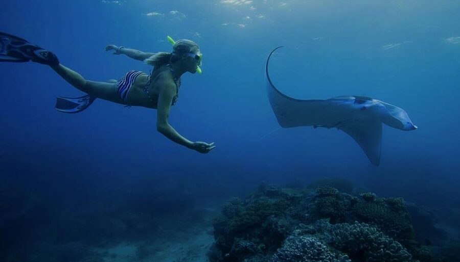 From Lembongan: Nusa Penida Private Snorkeling & West Tour - Money and value: what you’re paying for at $106 per person