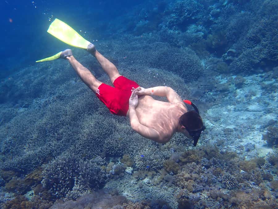 From Lembongan: Nusa Penida Snorkeling Day Trip - From Lembongan to Nusa Penida: what makes this day trip work