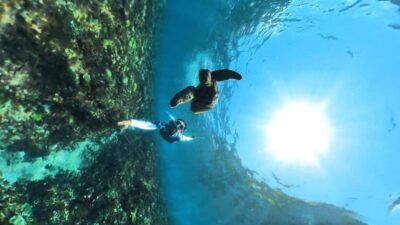 From Lembongan: Nusa Penida Snorkeling Day Trip