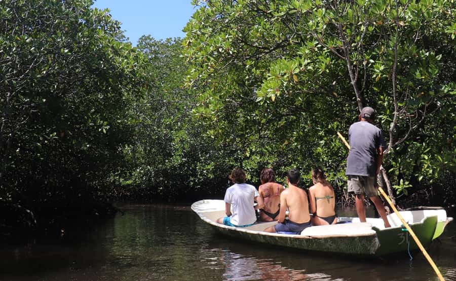 From Lembongan: Snorkeling 3 Spots, Mangrove and Land Tour - Hotel Pickup in Nusa Lembongan: Easy Start, One Key Limitation