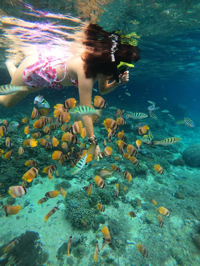 From Lembongan: Snorkeling 3 Spots, Mangrove and Land Tour - Crystal Bay: Colorful Reefs in Calmer Mood