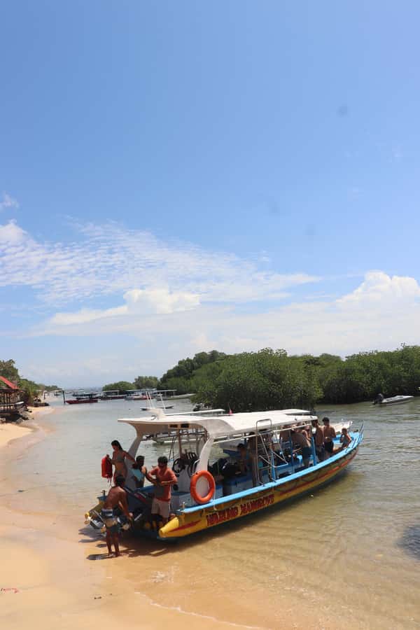 From Lembongan: Snorkeling 3 Spots, Mangrove and Land Tour - Underwater Photos and Documentation: What You Should Expect